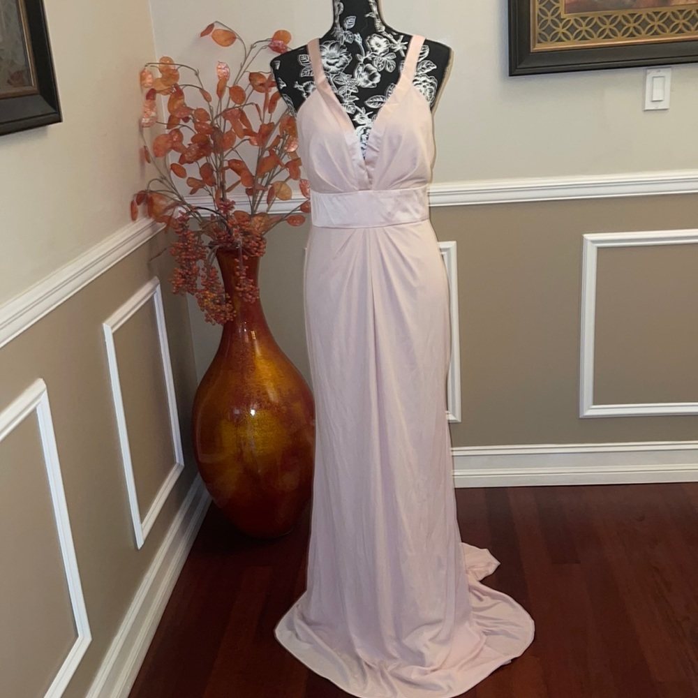 BRAND NEW, never worn blush gown